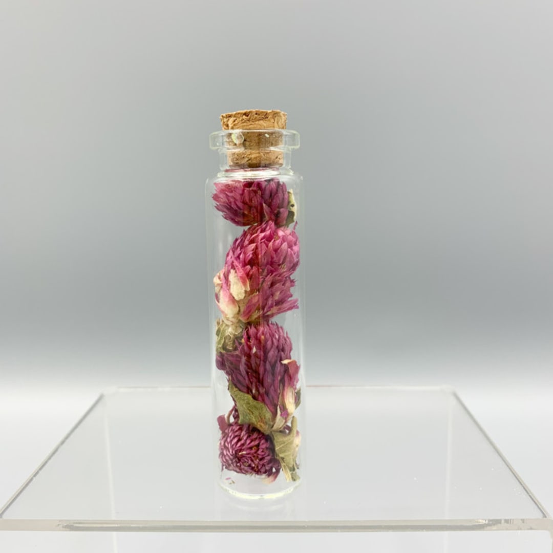 "Dried Flower Herbarium Globe Amaranth Flower 20ml" - Bridesmaid Gifts in pink by Christine OMalley