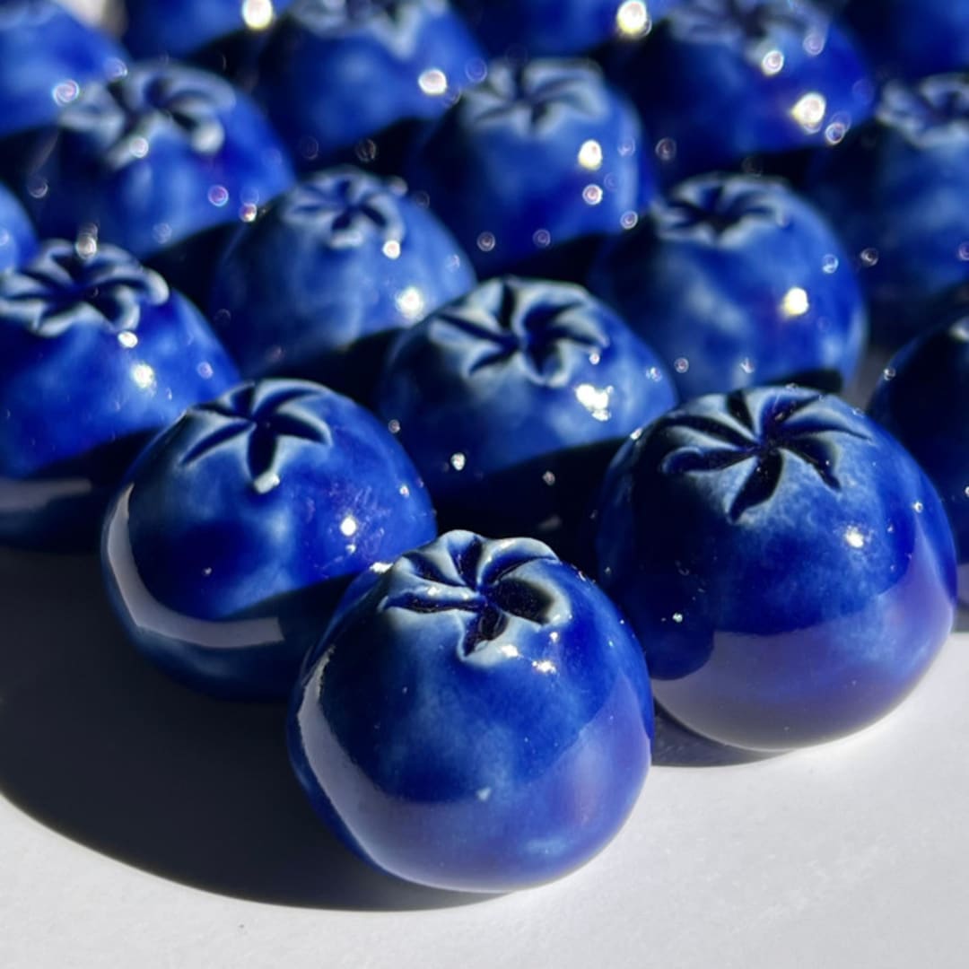 Blueberry Magnet Set