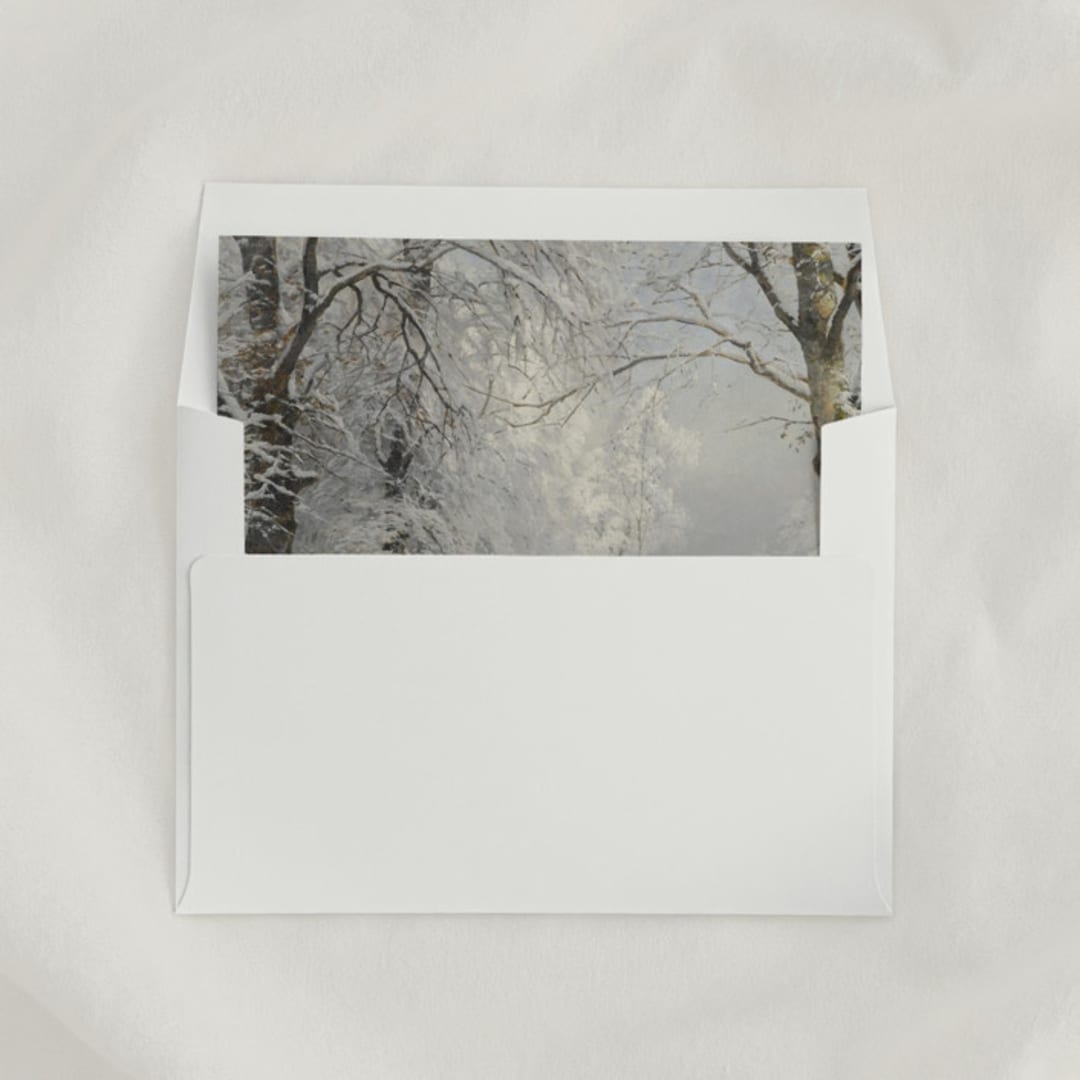 "Winter Envelope Liners, Square Flap, Pack of 25" - Envelope Liners in multicolorassorted-colors by Studio Lavender