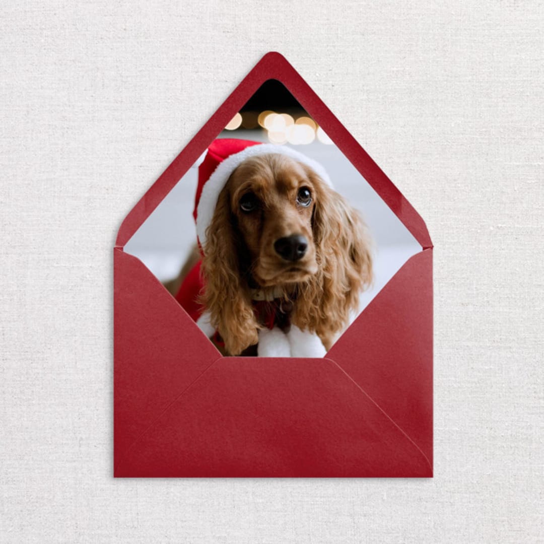 "Custom Pet Photo Envelope Liners, Pack of 25" - Envelope Liners in multicolorassorted-colors by Studio Lavender