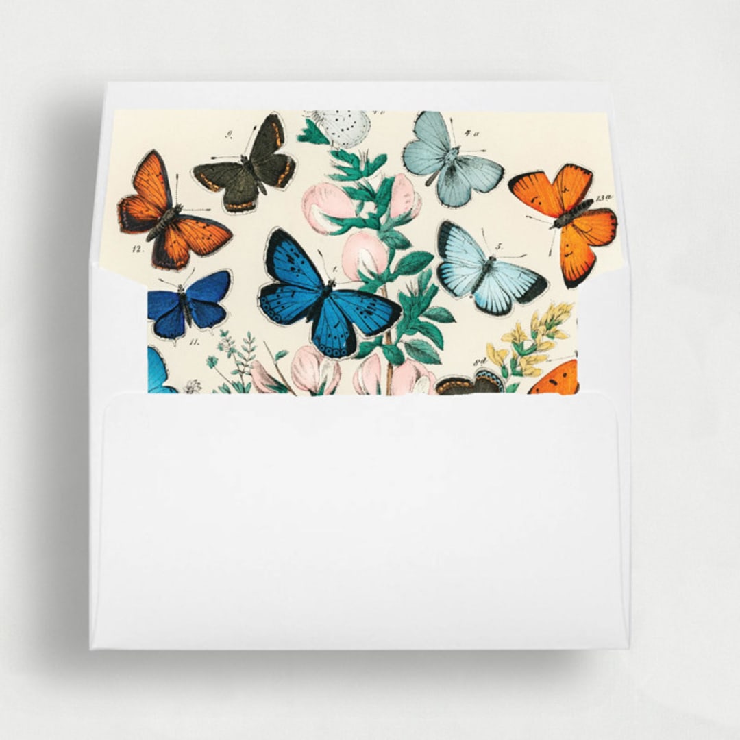 "Colorful Butterfly Liner | Set of 25 Square Envelope Liners" - Envelope Liners in multicolorassorted-colors by Nikki Turner