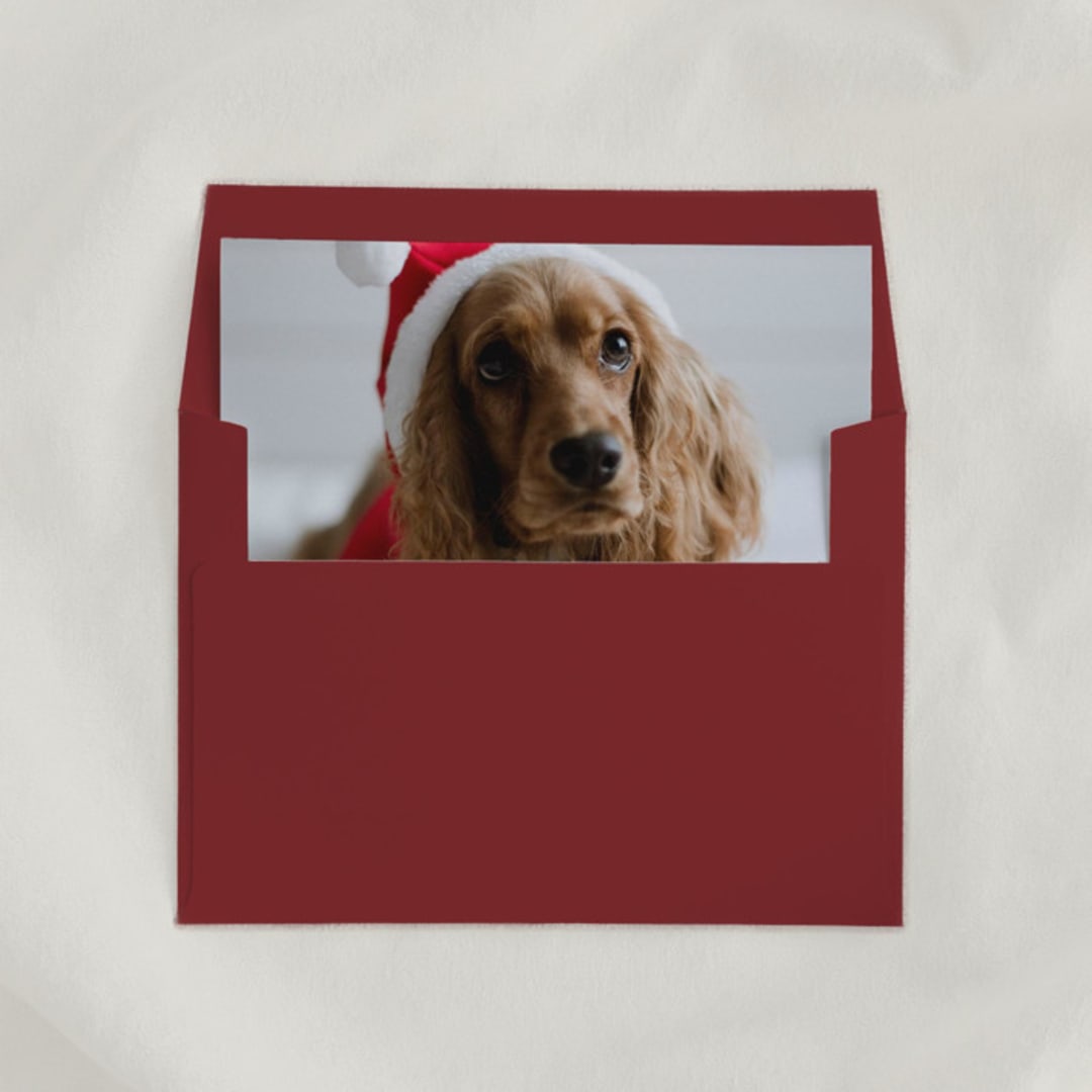 "Custom ‘Pet’ Envelope Liners, Square Flap, Pack of 25" - Envelope Liners in multicolorassorted-colors by Studio Lavender