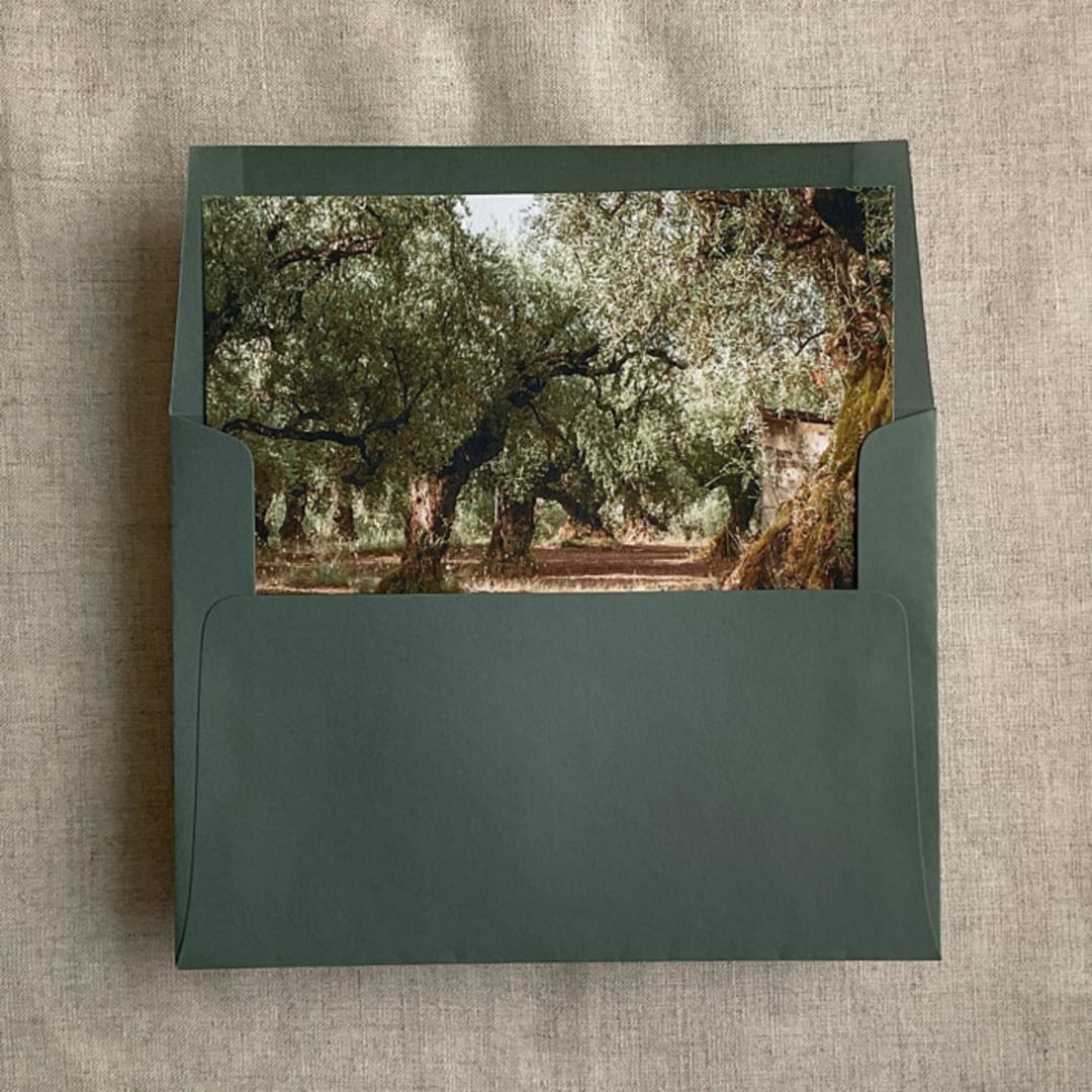 "Olive tree grove fine art landscape printed liner for A7 square flap envelope | pack of 10" - Envelope Liners in green by Ivory Invitations