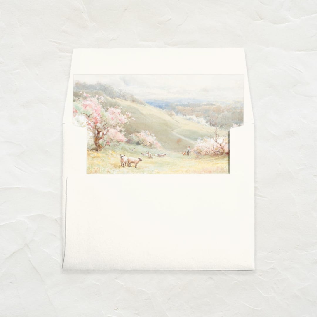 "A7 Envelope Liners Square Flap // Spring Sheep (Set of 25)" - Envelope Liners in multicolorassorted-colors by Clover and Lamb