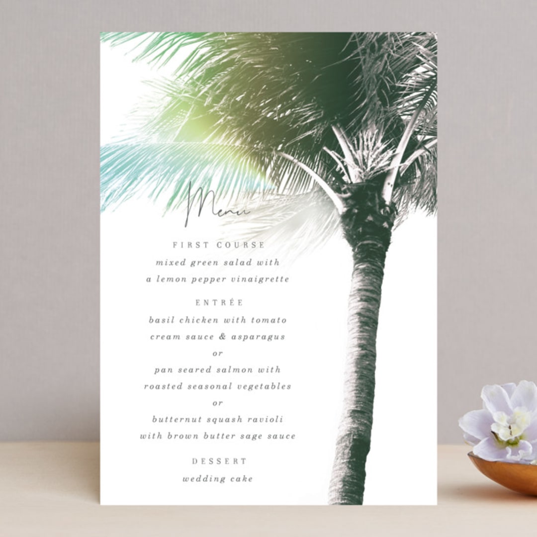 Summer Palm