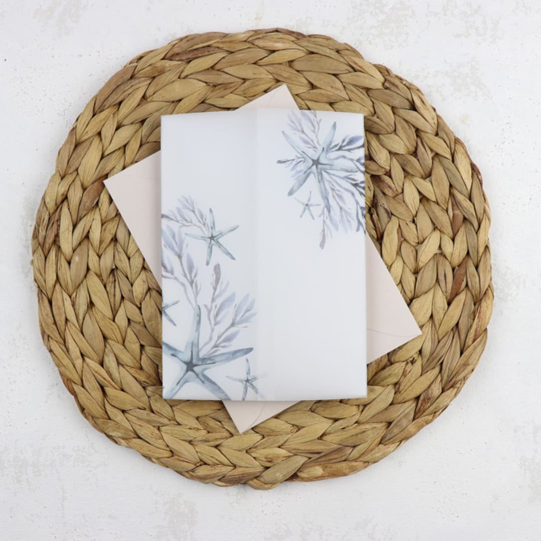 Blue Beach Starfish Vellum Jackets | Size 5x7 | Set of 25