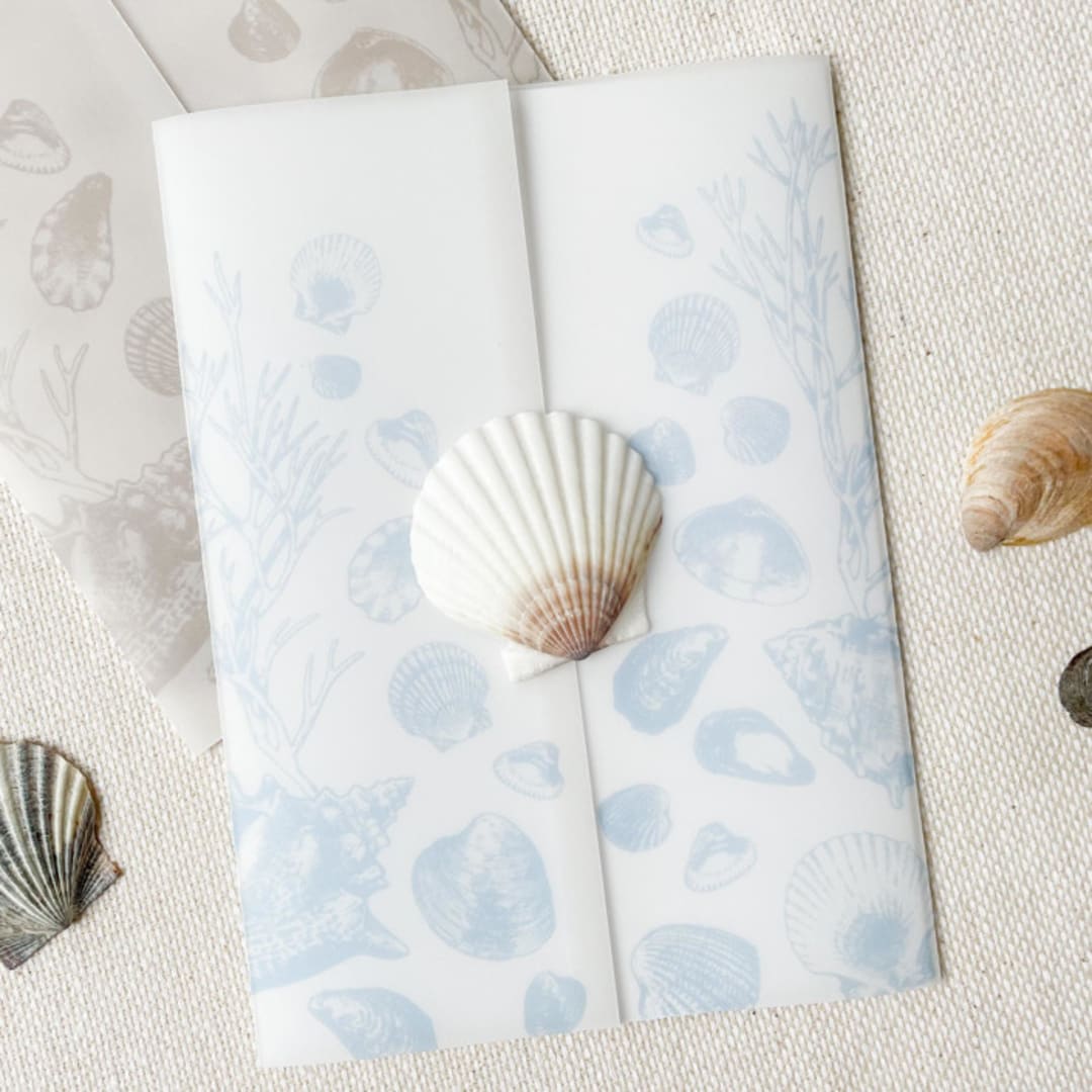 "Seashell Vellum Jackets | Set of 10 | Blue & Green Color Options" - Invitation Jackets and Overlays in multicolorassorted-colors by Megan Tendler