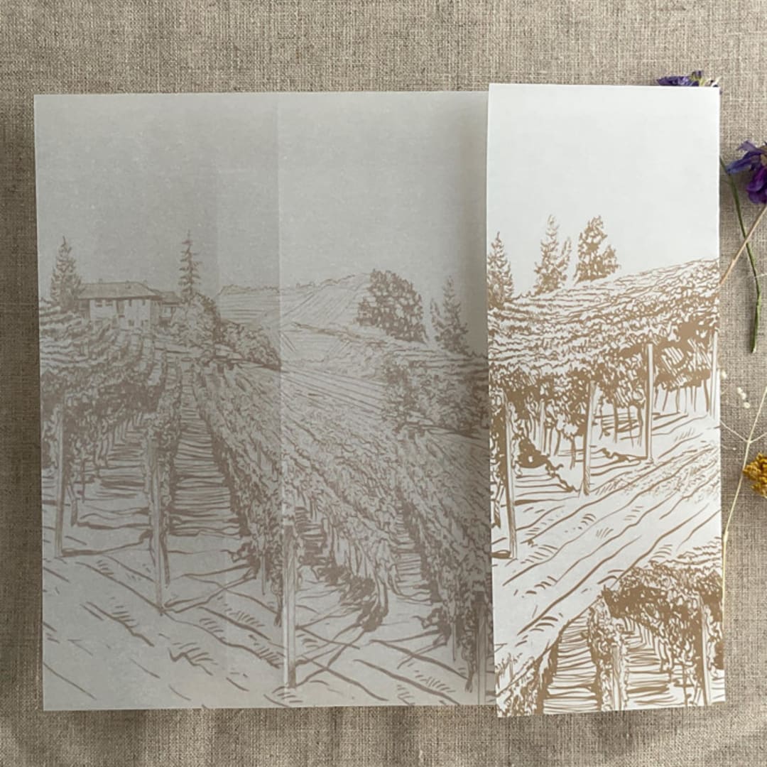 "CUSTOM ORDER : Hazelnut vineyard landscape sketch printed vellum wrap for 6x8 card | pack of 40" - Invitation Jackets and Overlays in beige by Ivory Invitations