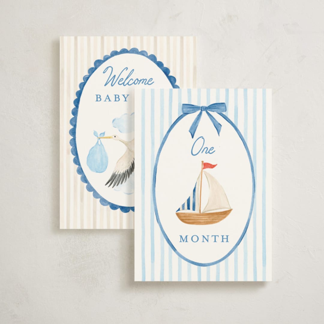"Journey" - Baby Milestone Cards in Multi by Sarah Knight - Front