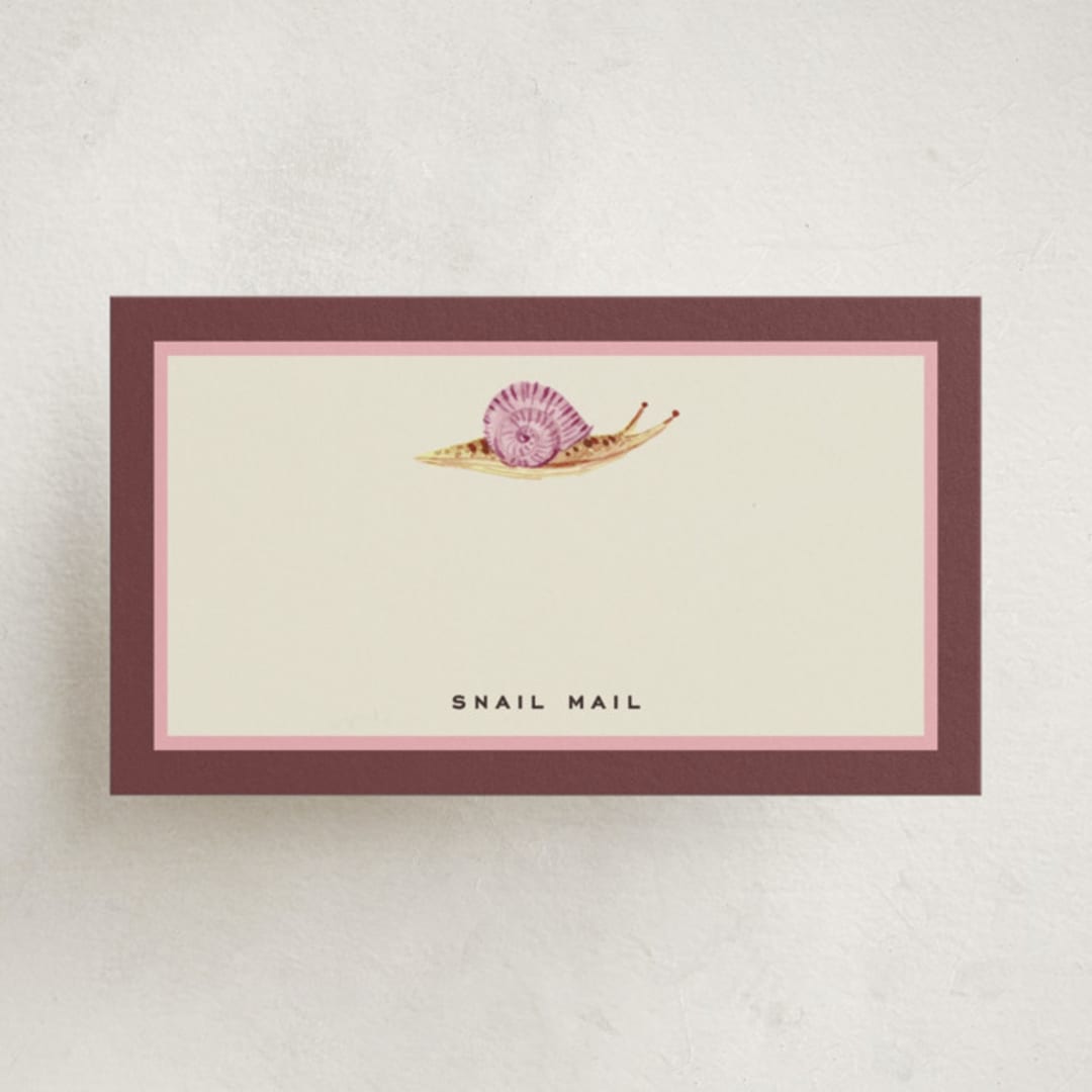 "Snail Mail" - Mini Note Cards in Raspberry by Pati Cascino - Front