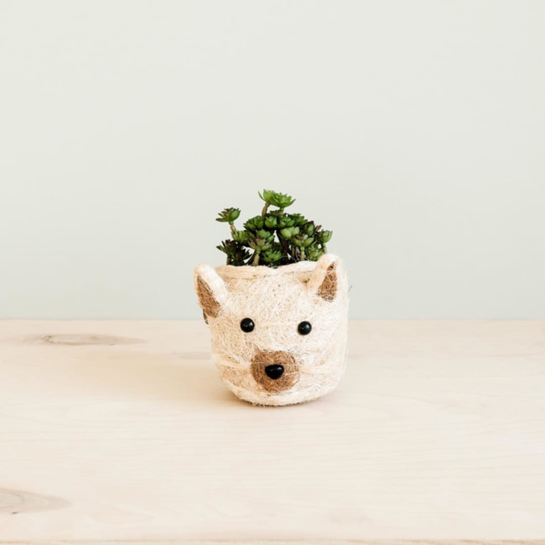 "Mini Pot Cat Planter" - Planters in natural by LIKHA