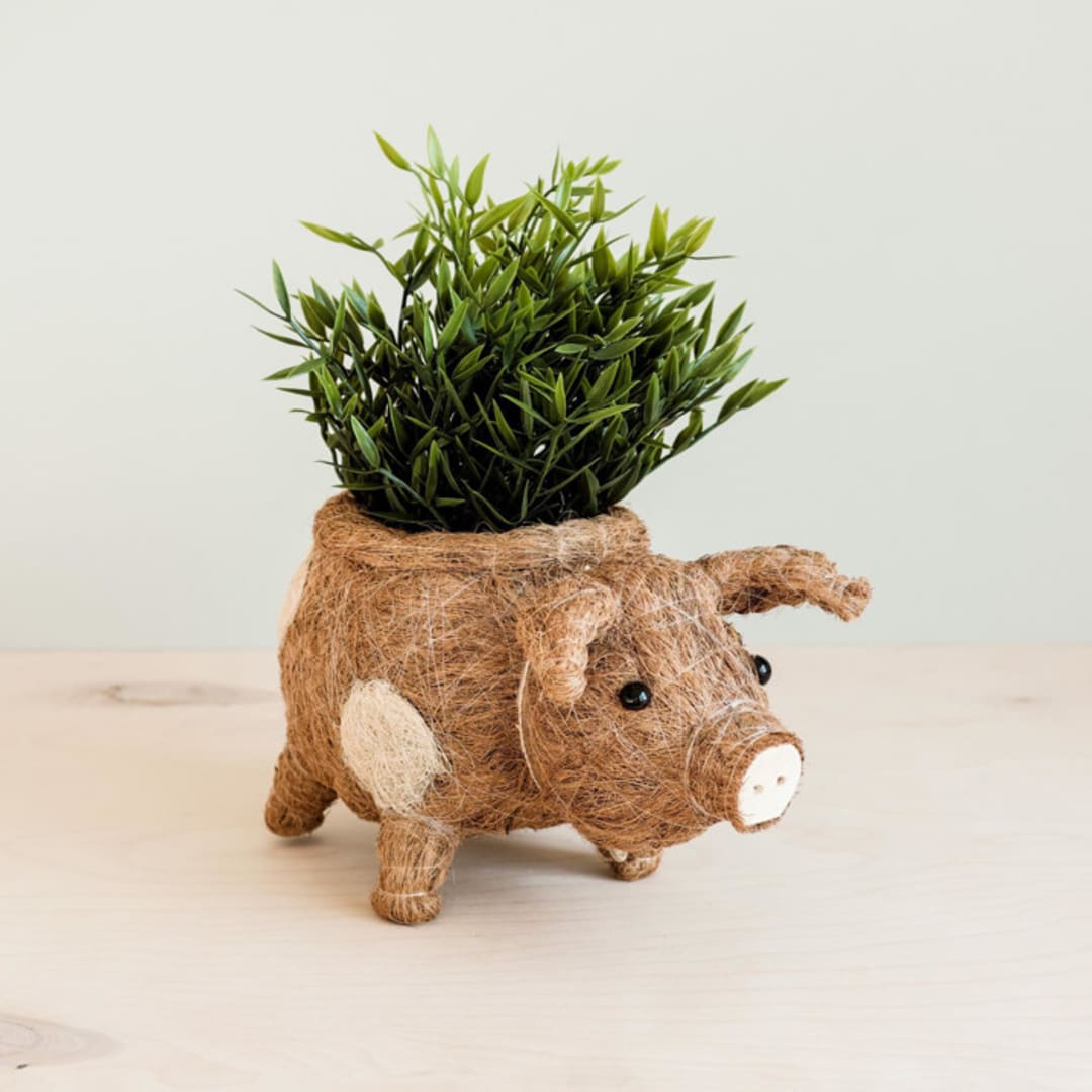 "Country Pig Planter" - Planters in brown by LIKHA