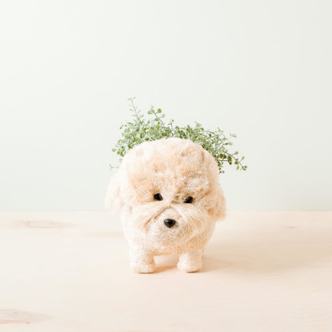 "Poodle Planter" - Planters in white by LIKHA