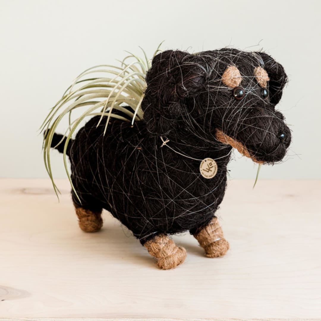 "Dachshund Planter" - Planters in black by LIKHA