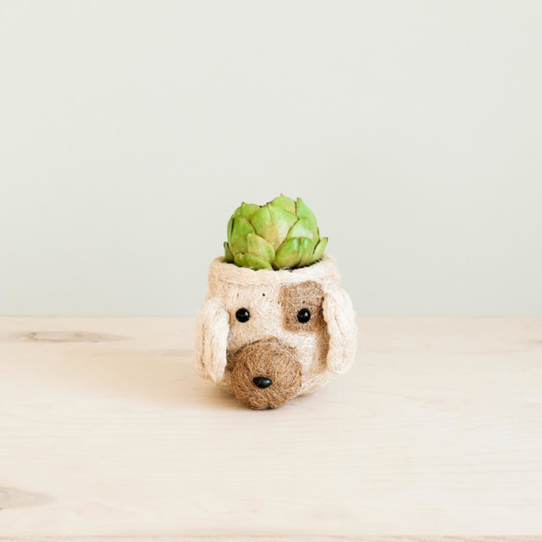 "Mini Pot Dog Planter" - Planters in natural by LIKHA