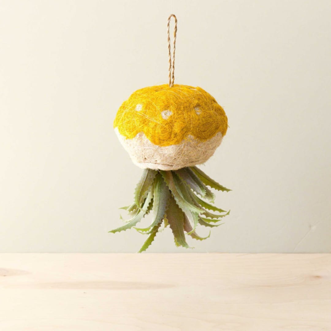 "Jellyfish Planter" - Planters in yellow by LIKHA