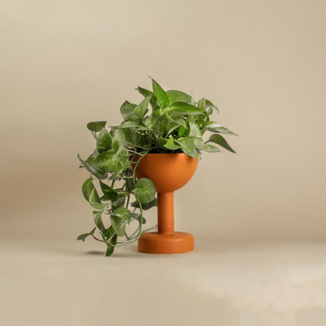 Maceta Elevada Terracotta Planter