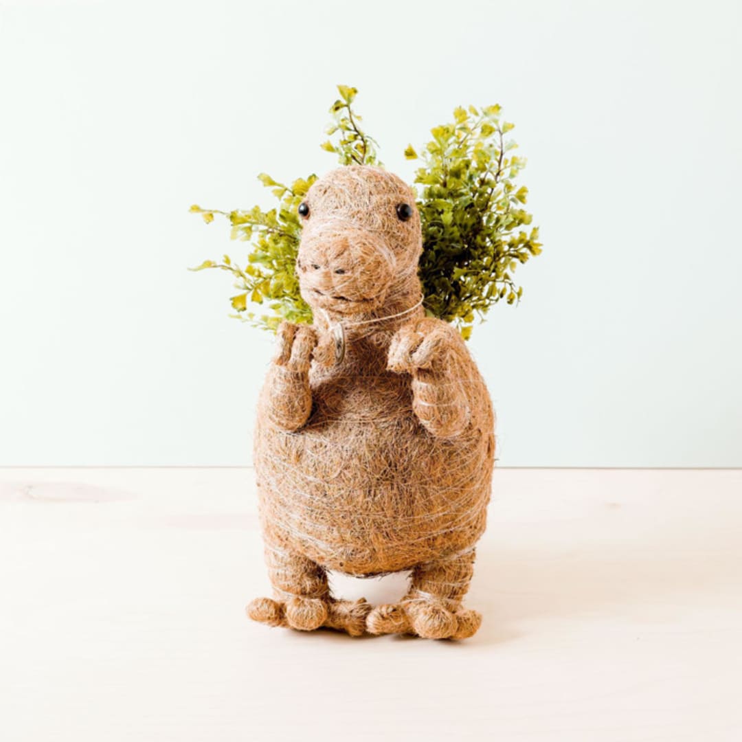 "T-Rex Planter" - Planters in brown by LIKHA