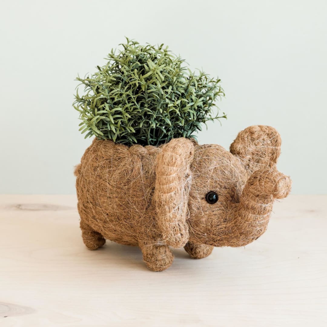 "Elephant Planter" - Planters in brown by LIKHA