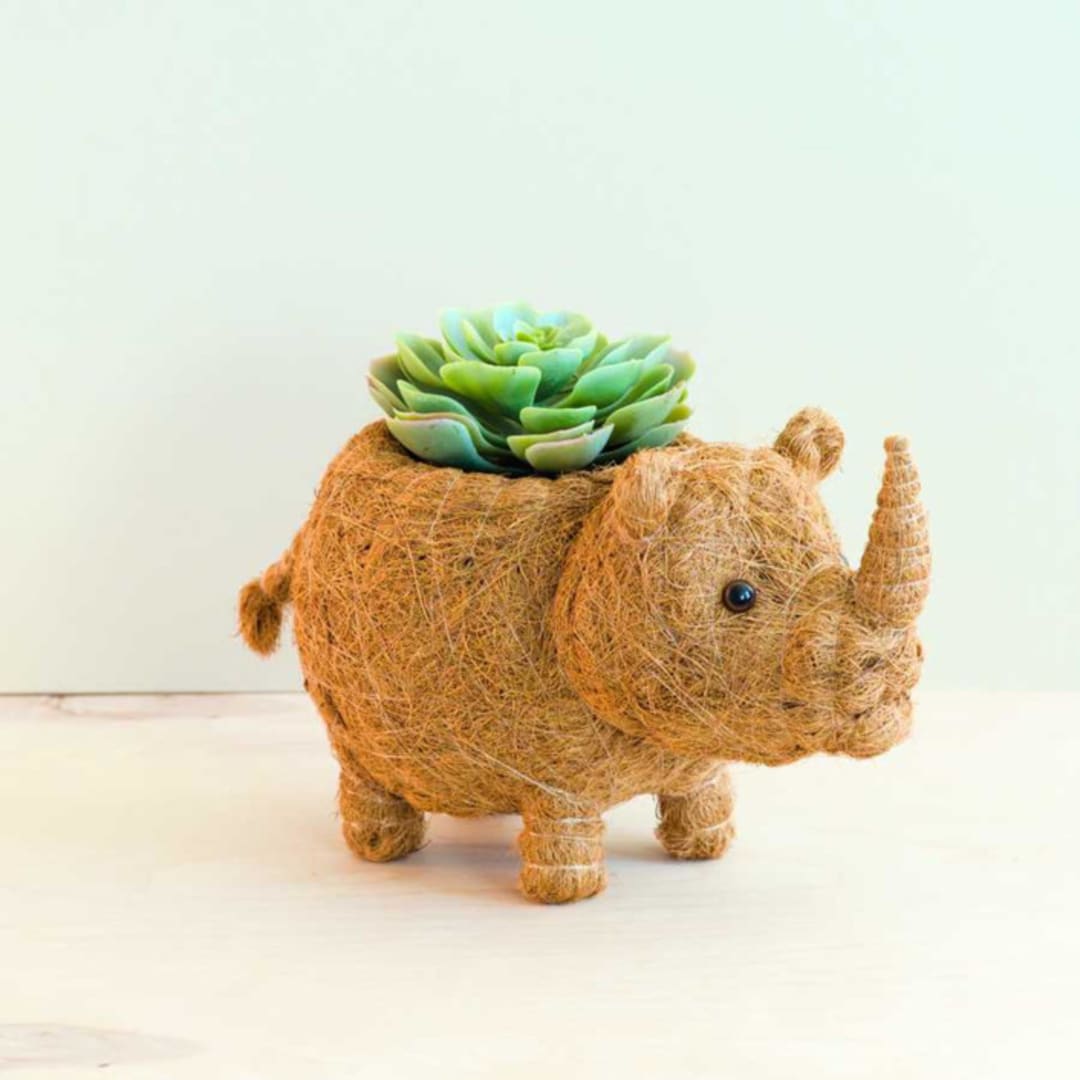 "Rhino Planter" - Planters in brown by LIKHA