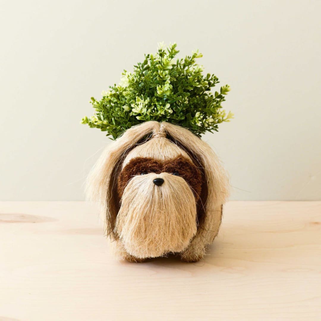 "Shih Tzu Planter" - Planters in brown by LIKHA