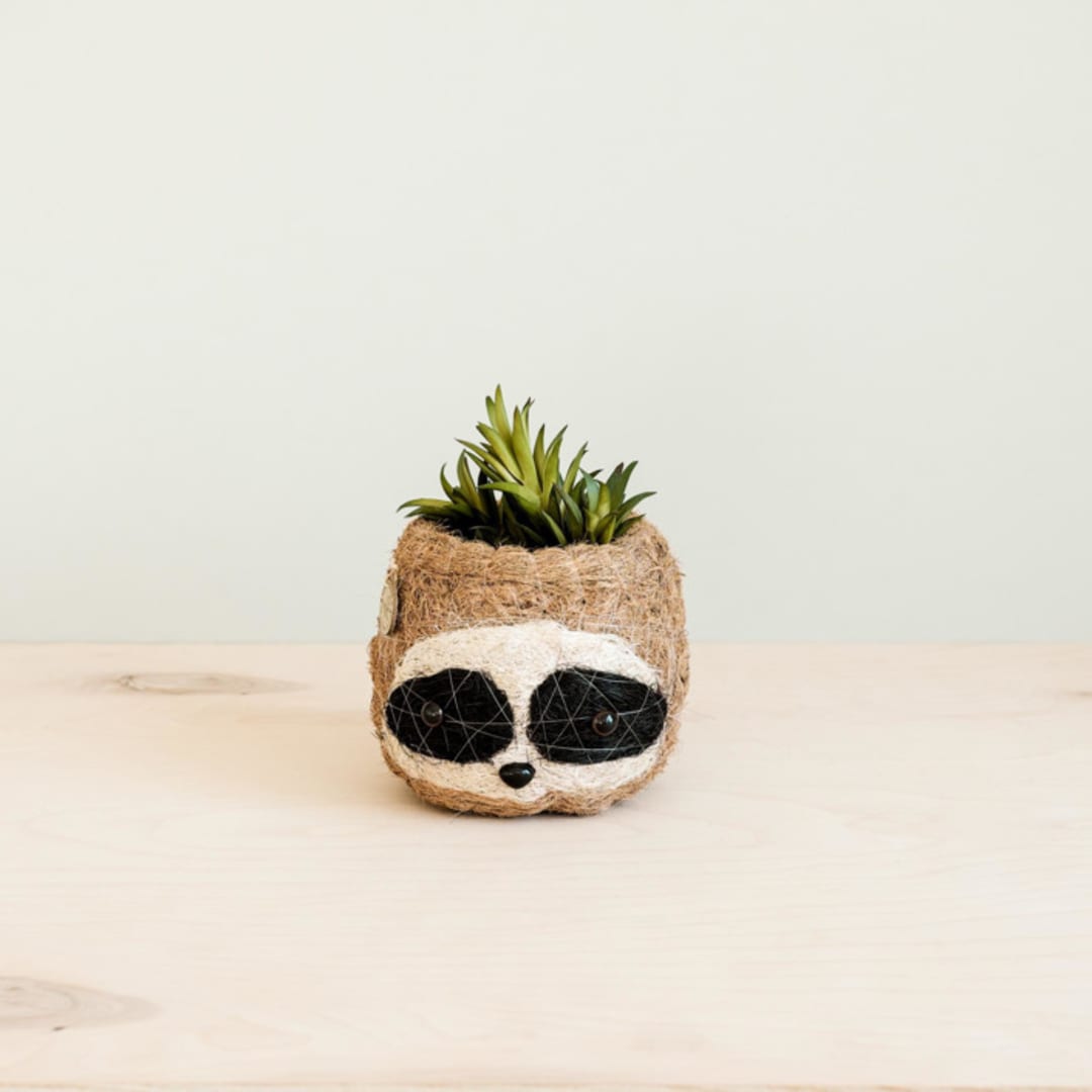 "Mini Pot 3-tone (dark) Sloth Planter" - Planters in brown by LIKHA