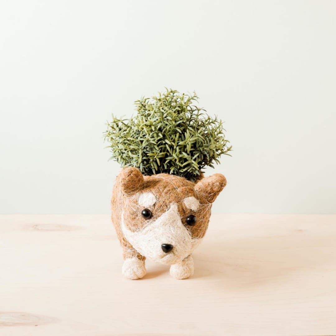"Corgi Planter" - Planters in brown by LIKHA