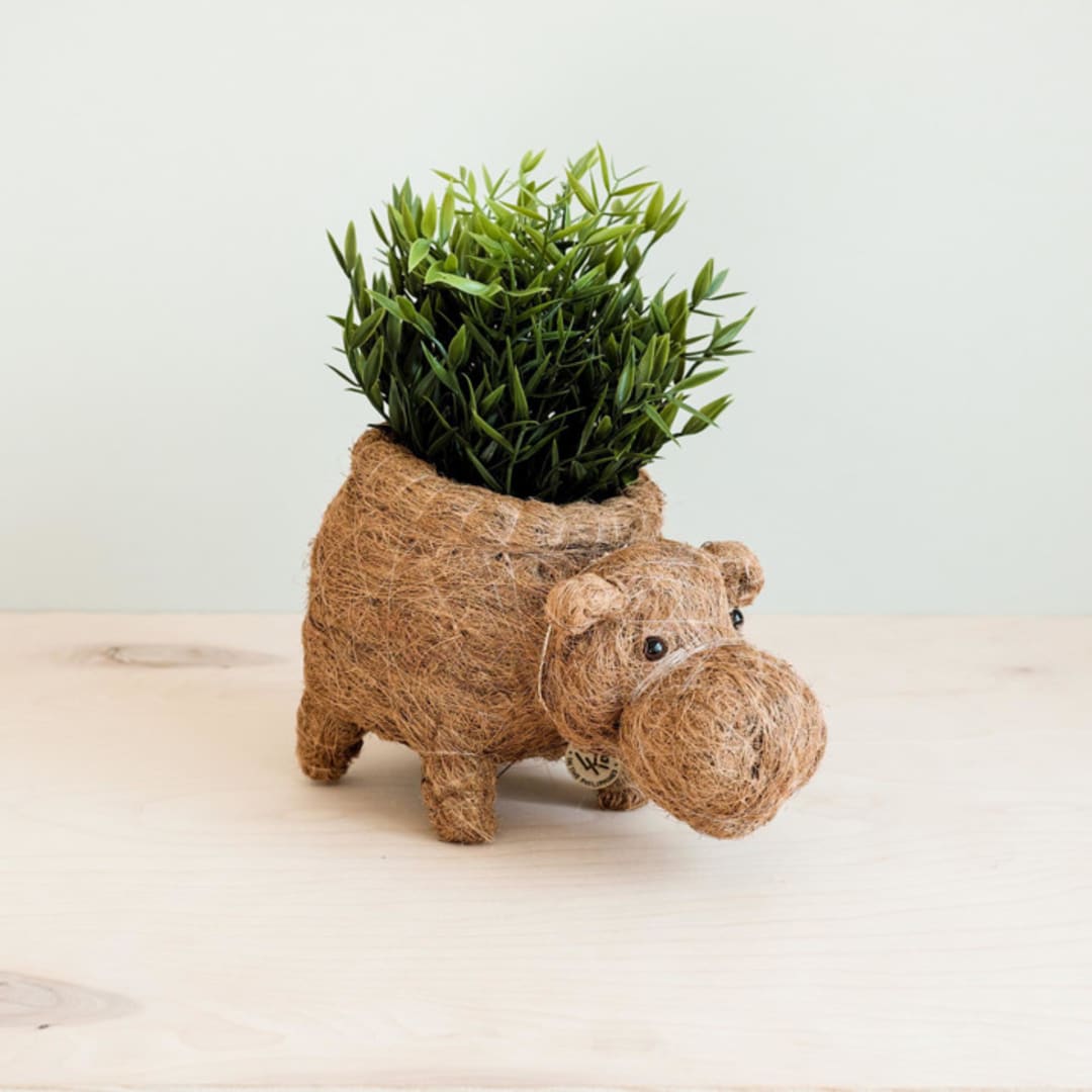 "Hippo Planter" - Planters in brown by LIKHA
