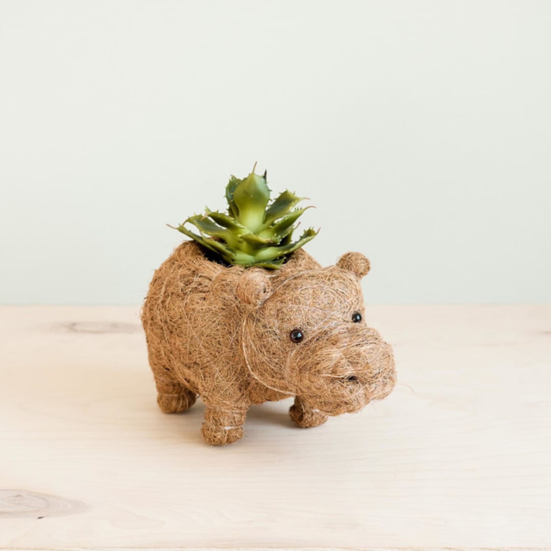 "Baby Hippo Planter" - Planters in brown by LIKHA