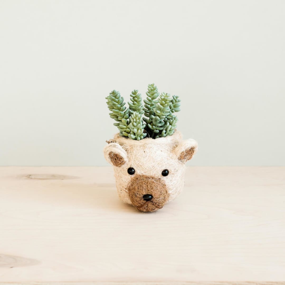 "Mini Pot Bear Planter" - Planters in natural by LIKHA