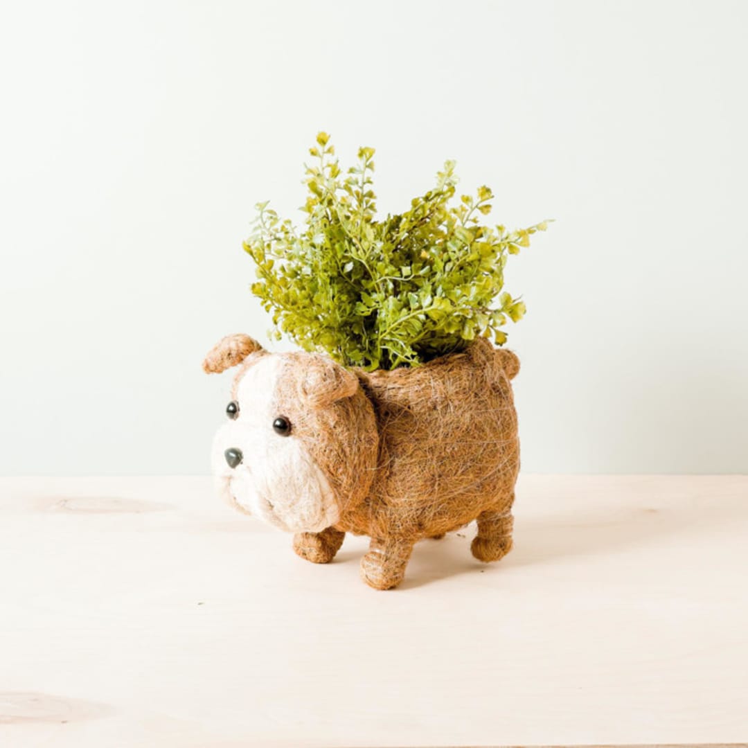 "English Bulldog Planter" - Planters in brown by LIKHA