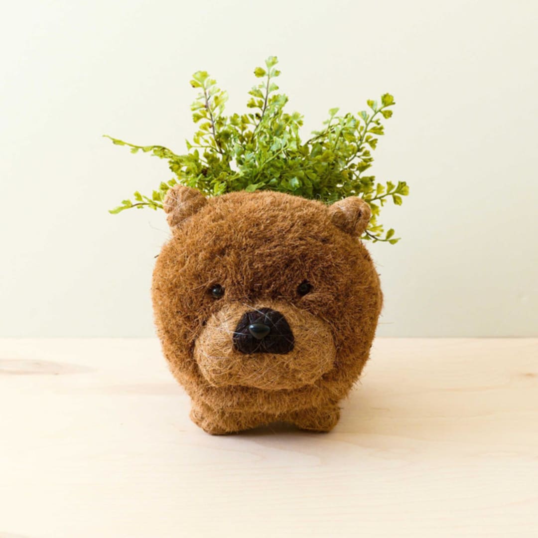 "Chow Chow Planter" - Planters in brown by LIKHA