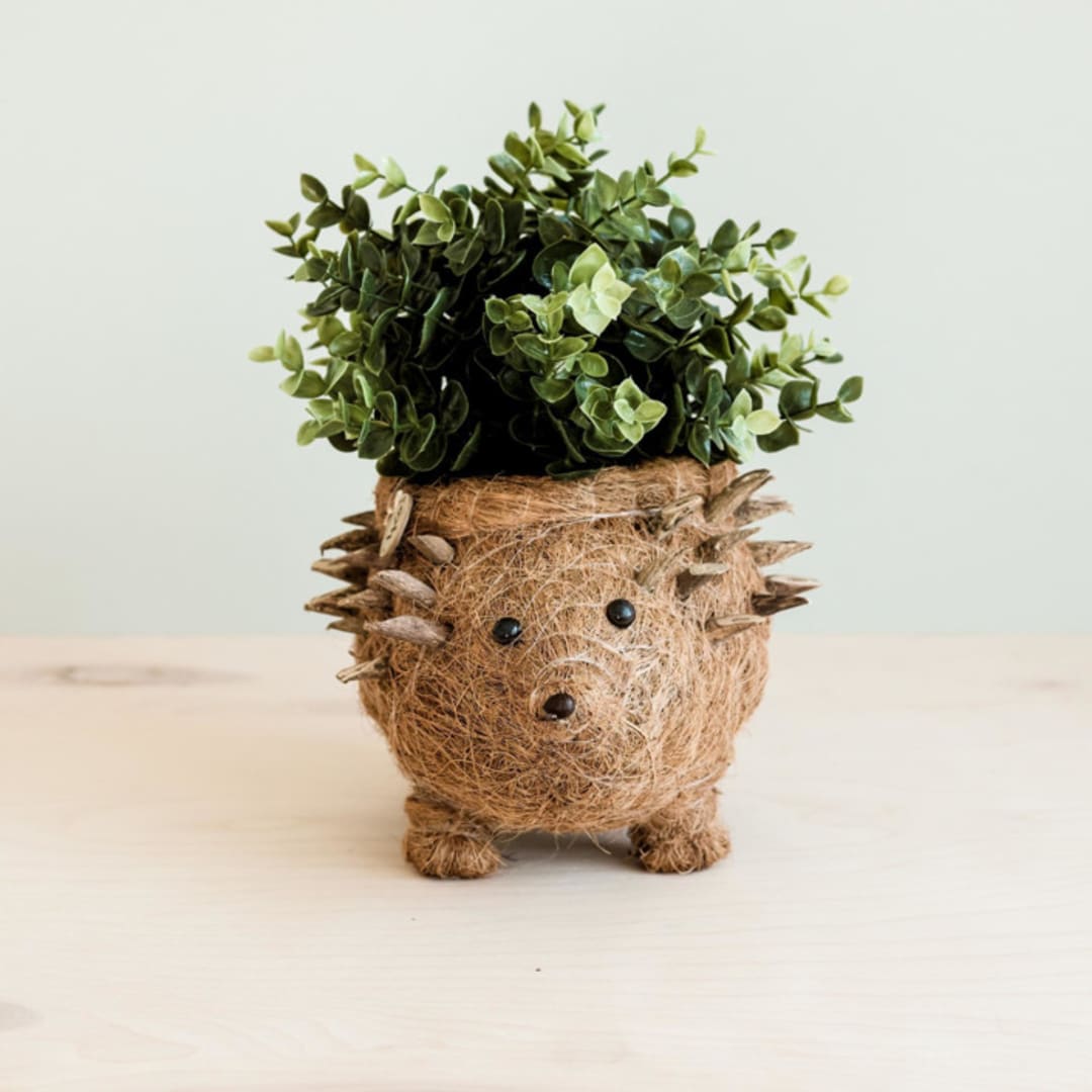 "Hedgehog Planter" - Planters in brown by LIKHA