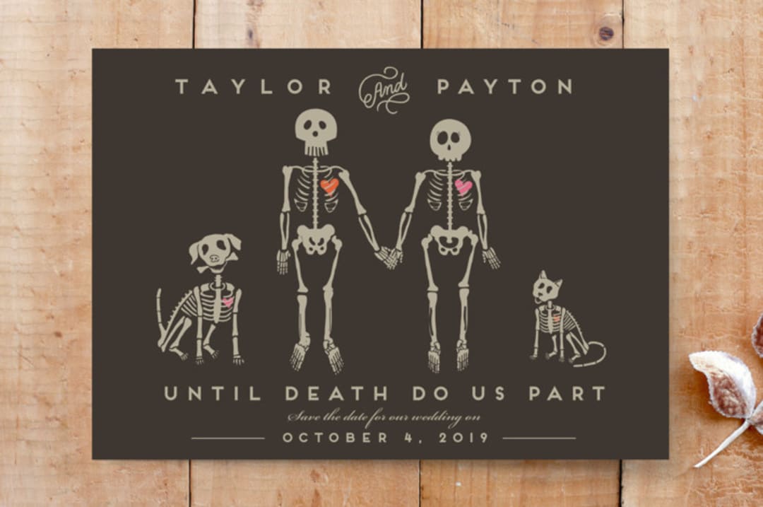 Cat Dog Skeletons