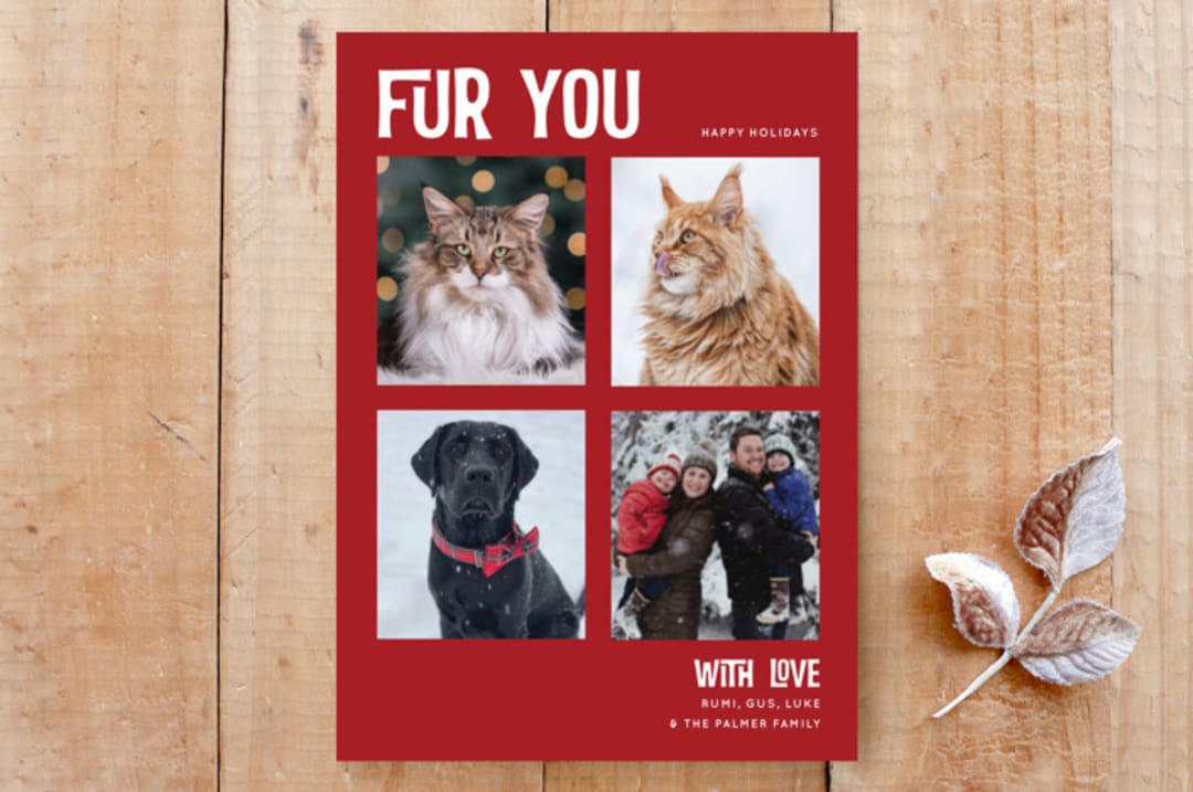 "Fur You 4" - Stationery in Holly Berry by Debb W - Front