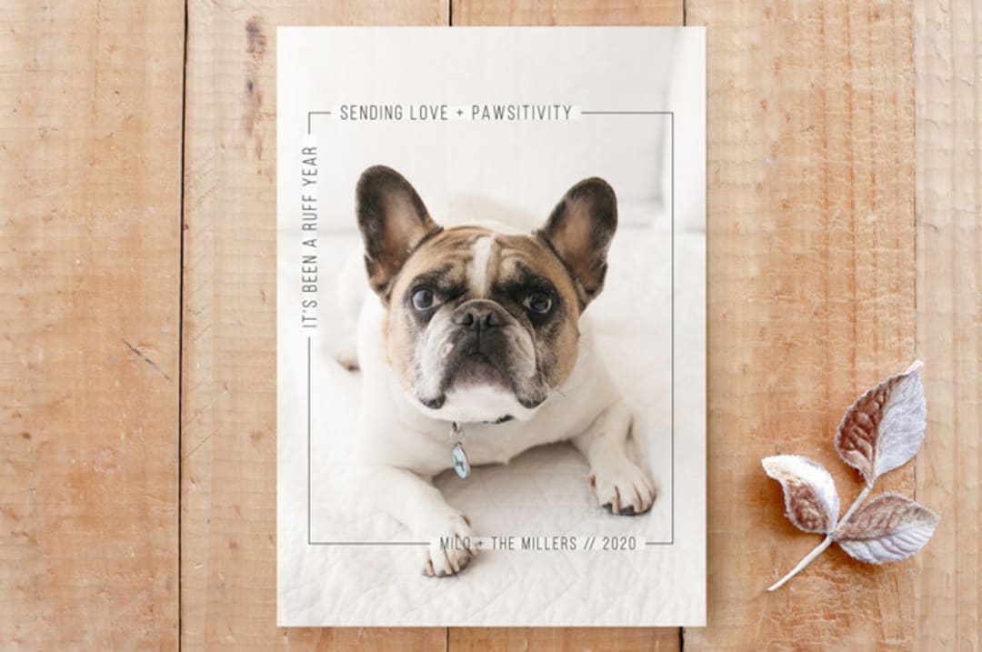 "Ruff Year / Love + Pawsitivity" - Stationery in Snowfall by On Friday We - Front