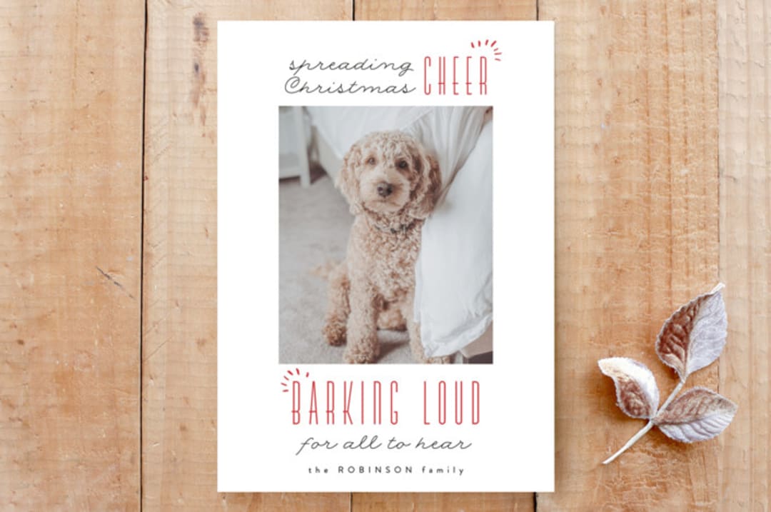 "Barking Loud" - Stationery in Blizzard by Kate Ross - Front