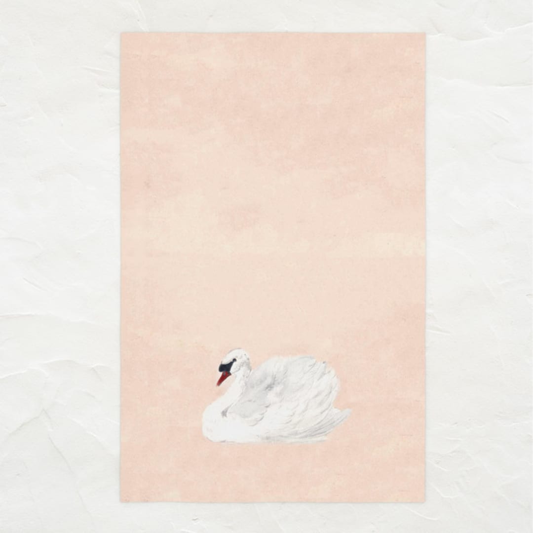 Fine Art Kitchen Tea Towel // White Swan