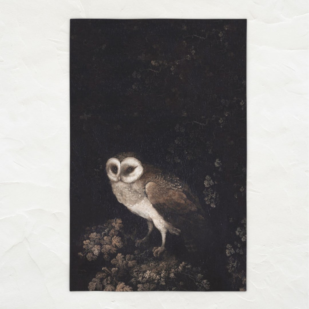 Fine Art Kitchen Tea Towel // Moody Owl