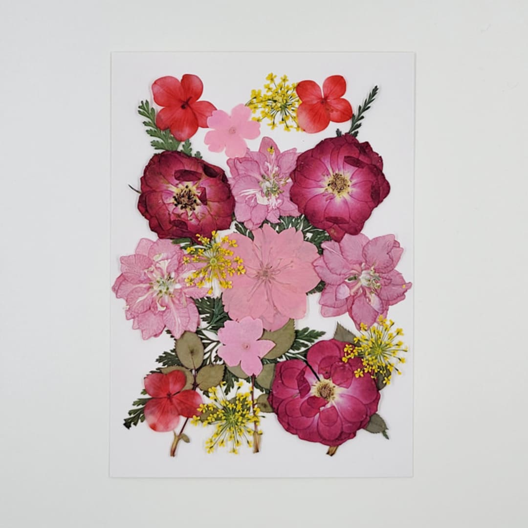 Pressed Flowers | " Sweet Heart" | Multicolor | 23 pcs