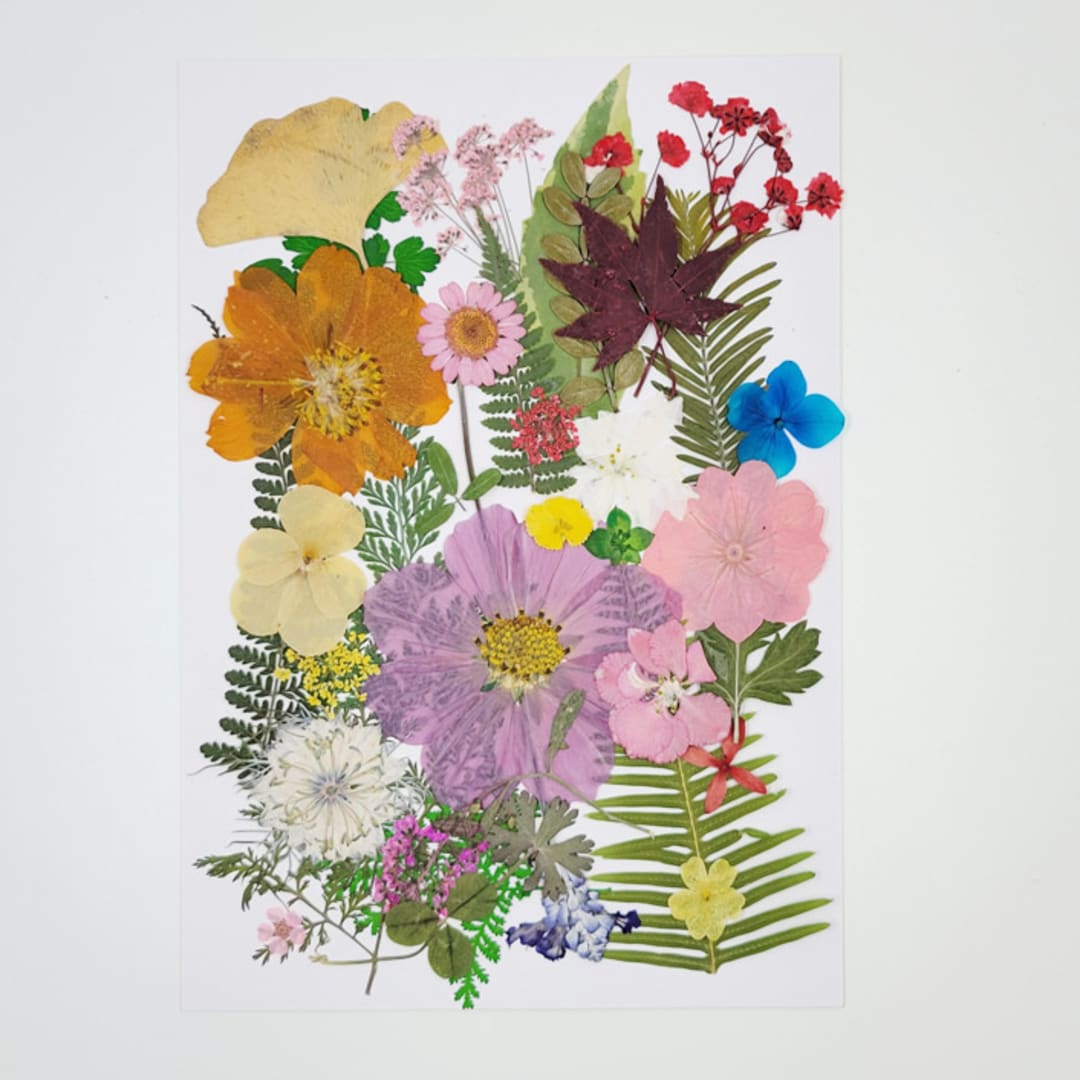 Pressed Flowers | "I bet your garden" | Multicolor | 35pcs