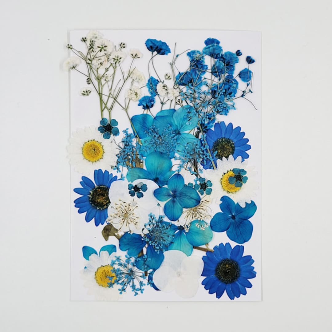 Pressed Flowers | "White and Blue" | White&Blue | 37 pcs