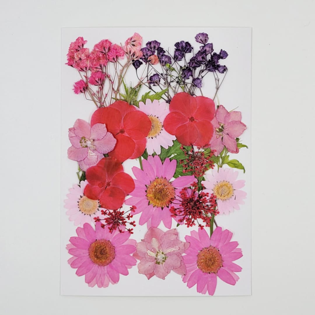 Pressed Flowers | "Strawberry Love" | Pink&Red | 23 pcs