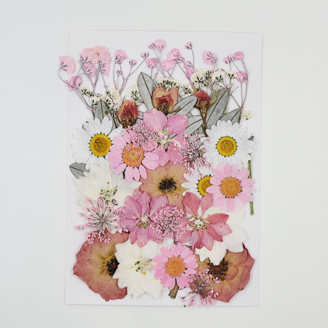 Pressed Flowers | "Perfect Blush" | Multicolor | 32 pcs