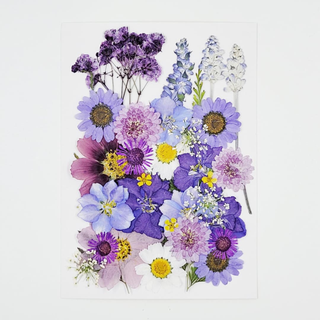 Pressed Flowers | "Purple Paramour" | Purple | 33 pcs