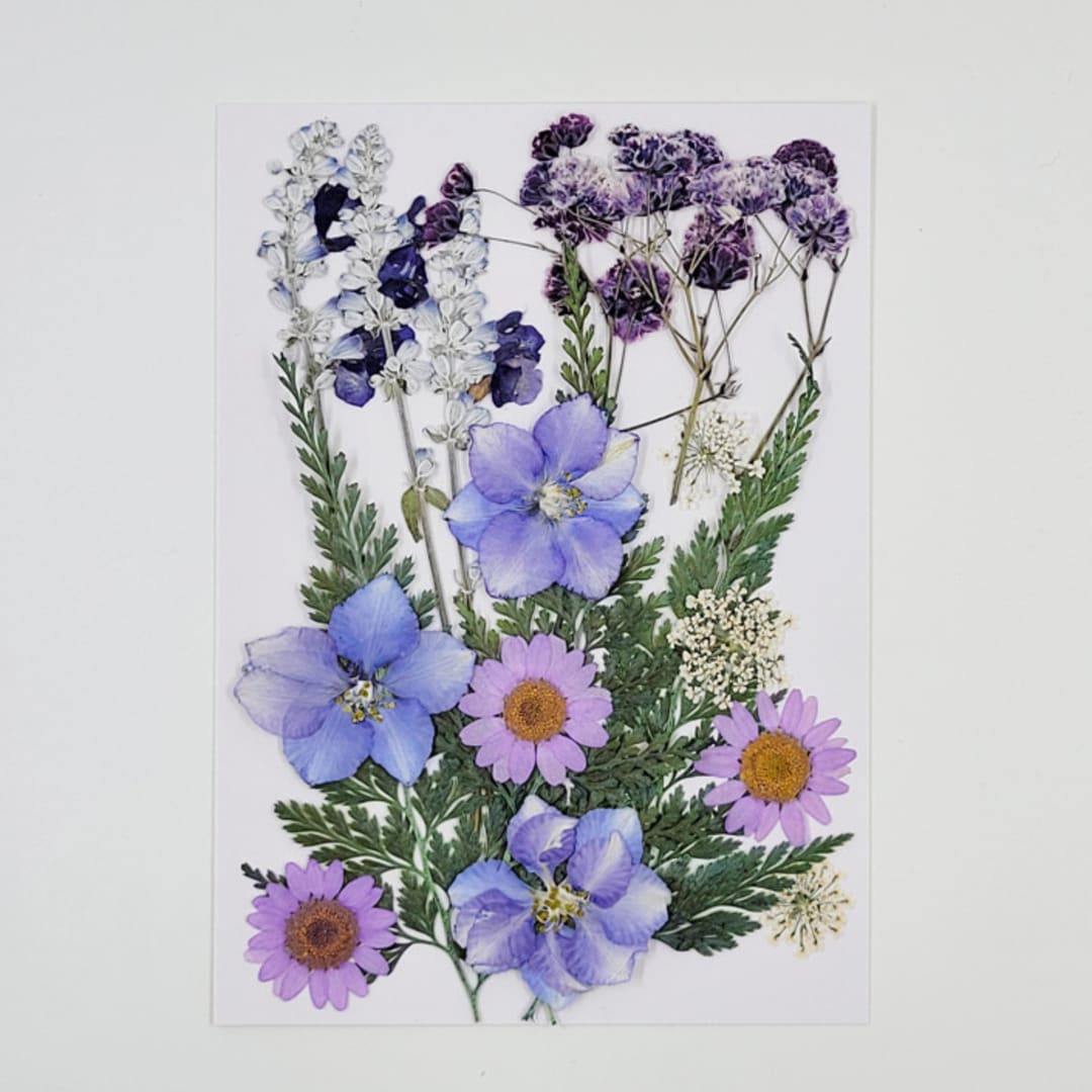 Pressed Flowers | "The Amethyst" | Purple | 18  pcs