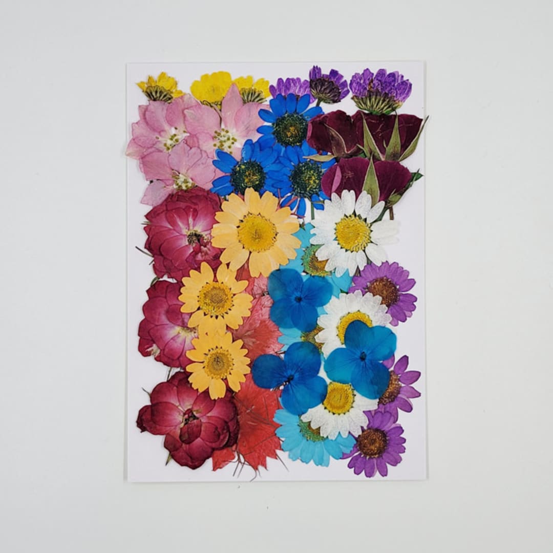 Pressed Flowers | " Scented Dream" | Multicolor | 36 pcs