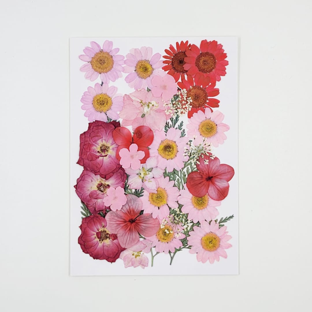 Pressed Flowers | "A Romantic Promise" | Pink&Red | 30pcs