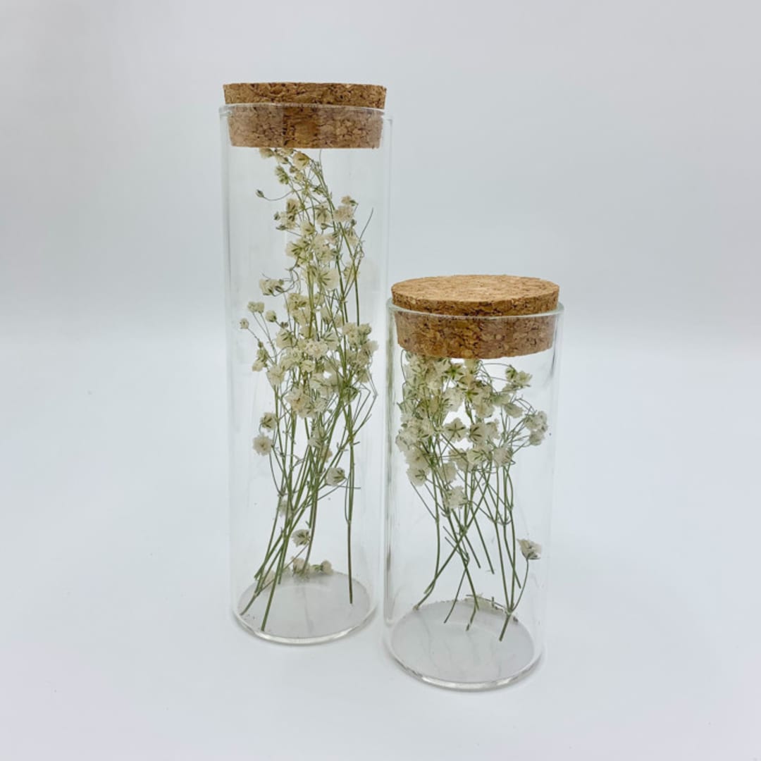 Dried Flower Herbarium Baby's Breath 2pc Set