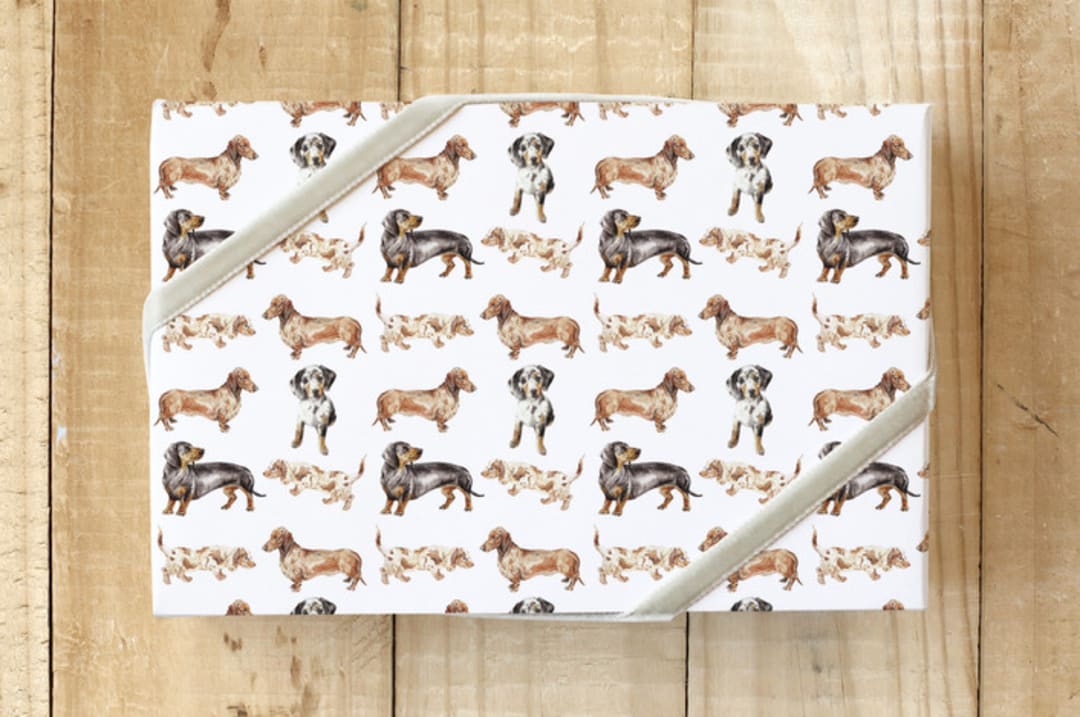 "Doxie Wrapping Paper" - Wrapping Paper in White by Lauren Rogoff - Front
